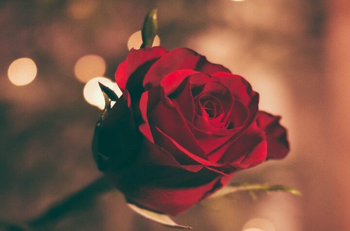 14thfeb