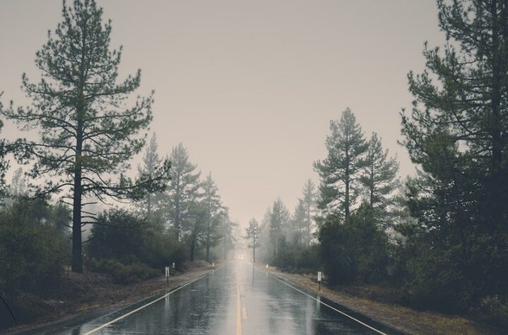rain