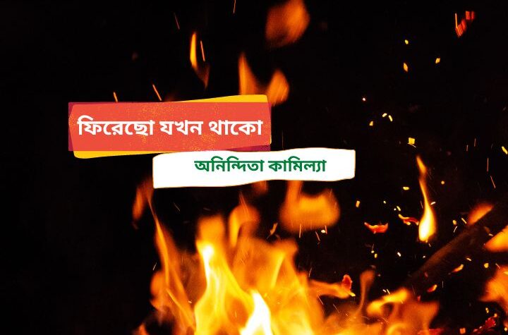 ফিরেছ যখন থাকো
