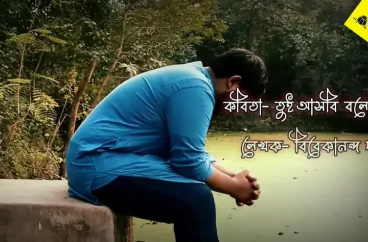 তুমি আসবে বলেই