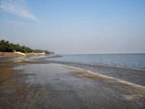 দীঘা থেকে বিচিত্রপুর ম্যানগ্রোভ অরণ্য