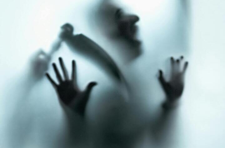 নায়ক হত্যা রহস্য